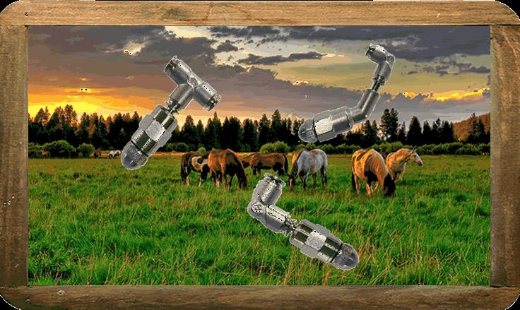 Sentry fly sales repellent spray